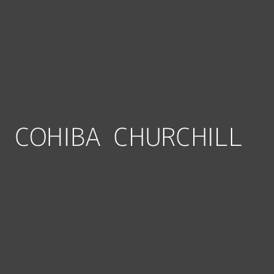 Product COHIBA  CHURCHILL