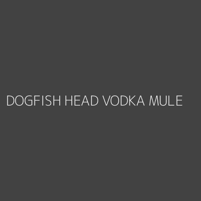 Product DOGFISH HEAD VODKA MULE