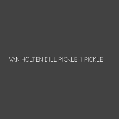 Product VAN HOLTEN DILL PICKLE 1 PICKLE