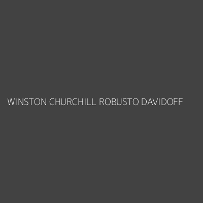Product WINSTON CHURCHILL ROBUSTO DAVIDOFF
