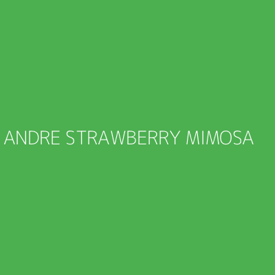 Product ANDRE STRAWBERRY MIMOSA