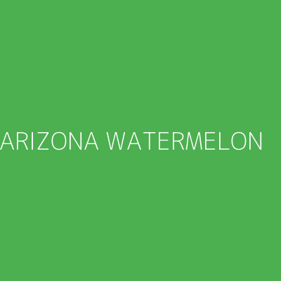 Product ARIZONA WATERMELON