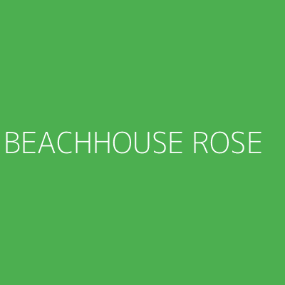 Product BEACHHOUSE ROSE