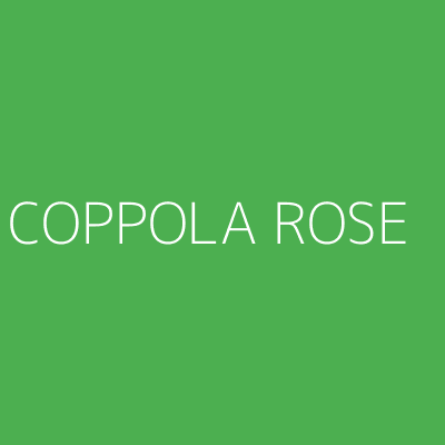 Product COPPOLA ROSE