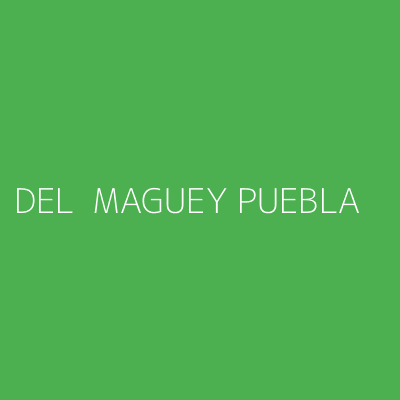 Product DEL  MAGUEY PUEBLA