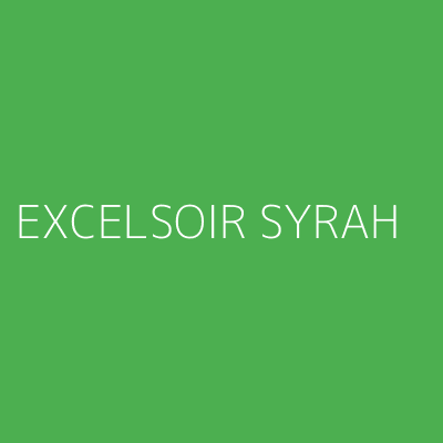 Product EXCELSOIR SYRAH