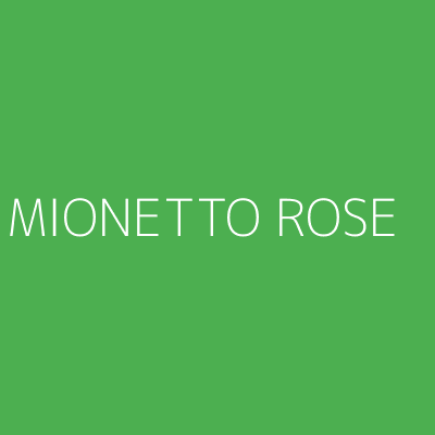 Product MIONETTO ROSE