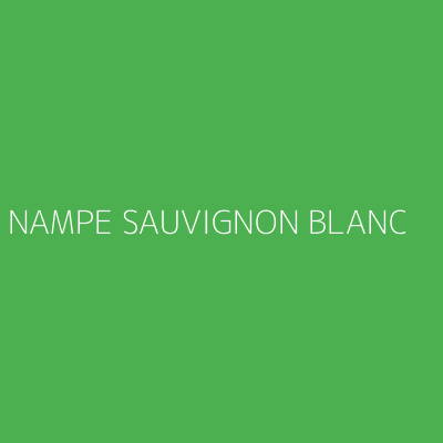 Product NAMPE SAUVIGNON BLANC