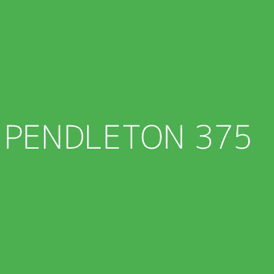 Product PENDLETON 375