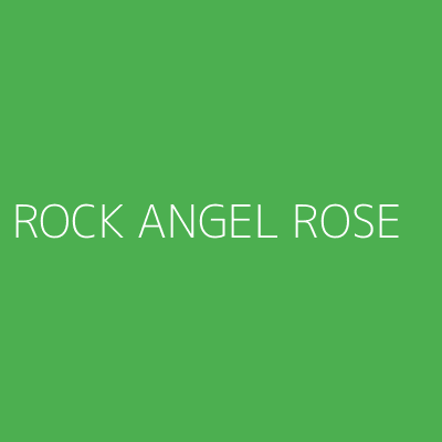 Product ROCK ANGEL ROSE