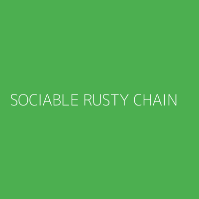 Product SOCIABLE RUSTY CHAIN