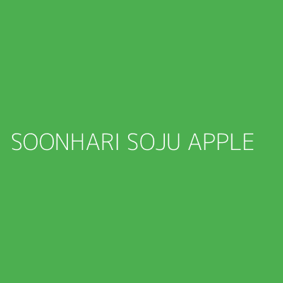 Product SOONHARI SOJU APPLE