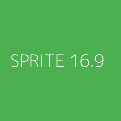 Product SPRITE 16.9