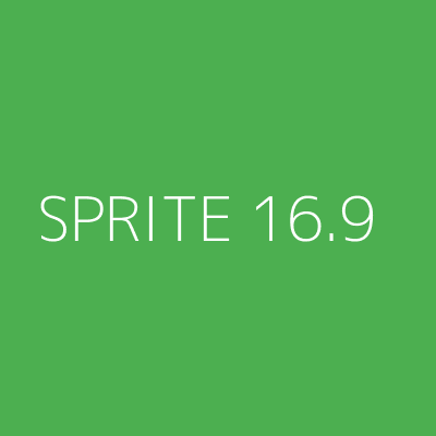 Product SPRITE 16.9