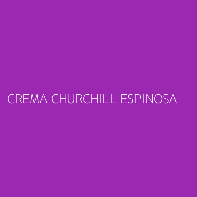Product CREMA CHURCHILL ESPINOSA