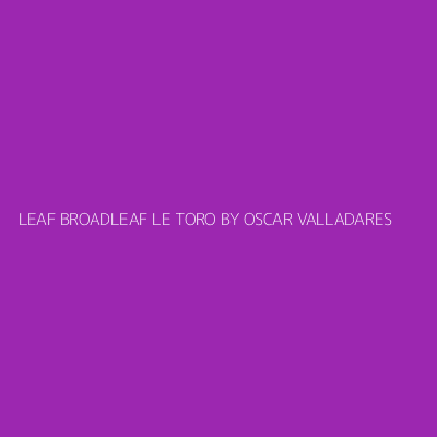 Product LEAF BROADLEAF LE TORO BY OSCAR VALLADARES