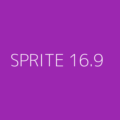 Product SPRITE 16.9