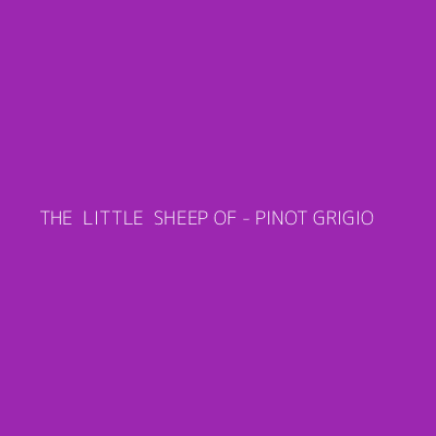Product THE  LITTLE  SHEEP OF - PINOT GRIGIO