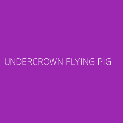 Product UNDERCROWN FLYING PIG