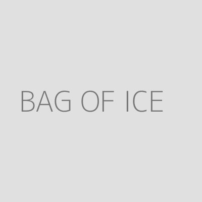 Product BAG OF ICE 