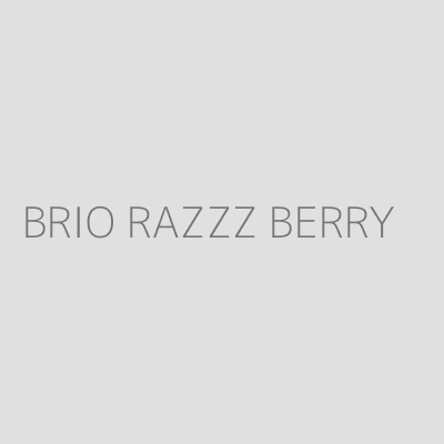 Product BRIO RAZZZ BERRY