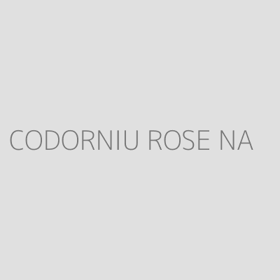 Product CODORNIU ROSE NA