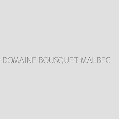 Product DOMAINE BOUSQUET MALBEC