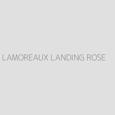 Product LAMOREAUX LANDING ROSE