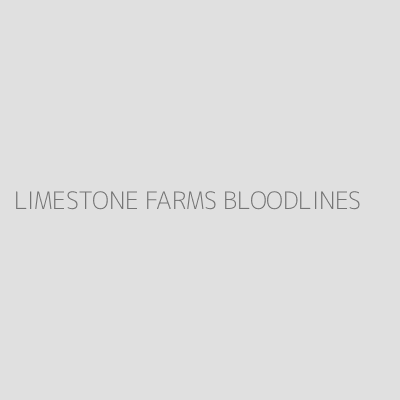 Product LIMESTONE FARMS BLOODLINES