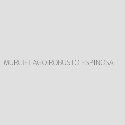 Product MURCIELAGO ROBUSTO ESPINOSA
