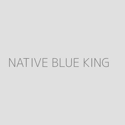Product NATIVE BLUE KING