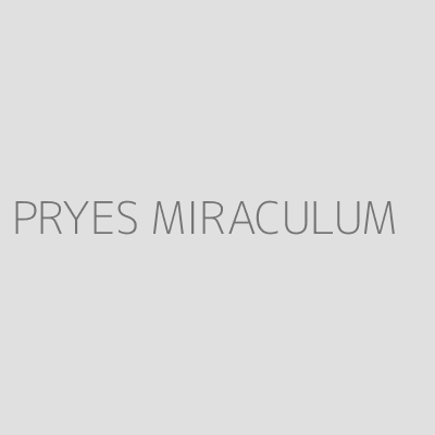 Product PRYES MIRACULUM