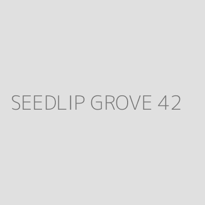 Product SEEDLIP GROVE 42