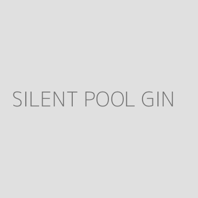 Product SILENT POOL GIN