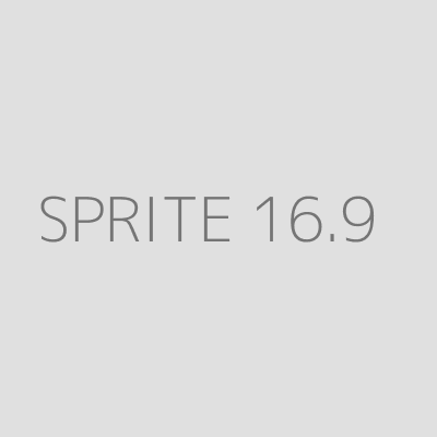 Product SPRITE 16.9