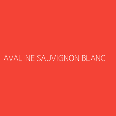 Product AVALINE SAUVIGNON BLANC