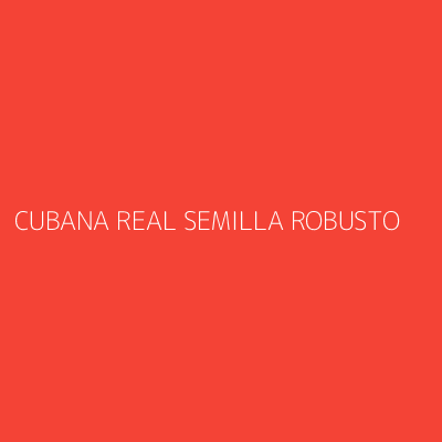 Product CUBANA REAL SEMILLA ROBUSTO