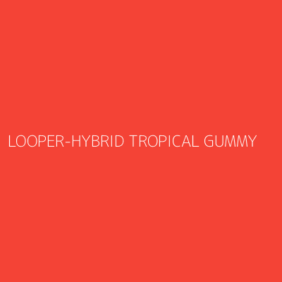 Product LOOPER-HYBRID TROPICAL GUMMY