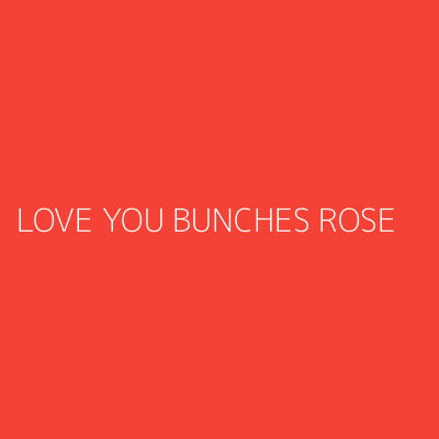 Product LOVE YOU BUNCHES ROSE