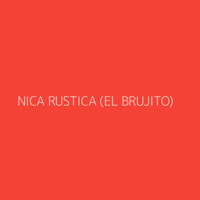 Product NICA RUSTICA (EL BRUJITO)
