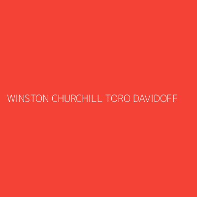 Product WINSTON CHURCHILL TORO DAVIDOFF