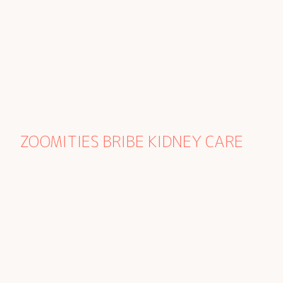 ZOOMITIES BRIBE KIDNEY CARE 