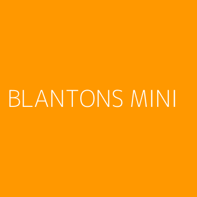 Product BLANTONS MINI