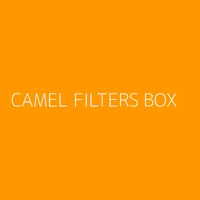 Product CAMEL FILTERS BOX