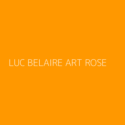 Product LUC BELAIRE ART ROSE 