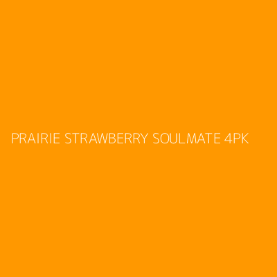 Product PRAIRIE STRAWBERRY SOULMATE 4PK