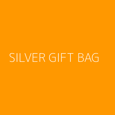 Product SILVER GIFT BAG