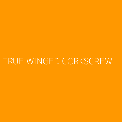 Product TRUE WINGED CORKSCREW