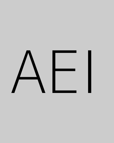 AEI (2004) poster