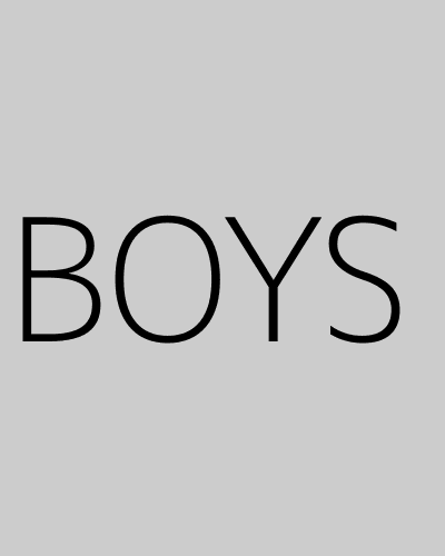 BOYS (2003) poster